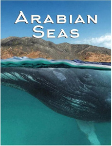 清华大学公开课